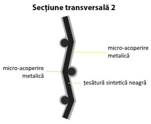 Sectiune-transversala-2